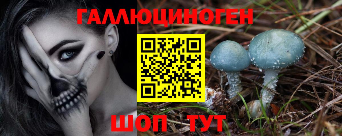 закладки  Псилоцибиновые грибы GOLDEN TEACHER  Вход с VPN  Кумертау 